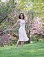 cheap Women&#039;s Dresses-Women&#039;s A-Line Dress Sleeveless Floral Vintage Going out Cotton Pink XS S M L XL