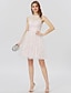 cheap Special Occasion Dresses-Ball Gown Cute Dress Cocktail Party Formal Evening Short / Mini Sleeveless Bateau Neck All Over Lace V Back with Sash / Ribbon Pleats 2023