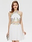 cheap Special Occasion Dresses-A-Line Special Occasion Dresses Cute Dress Holiday Homecoming Short / Mini Sleeveless Jewel Neck Chiffon with Pleats Crystals Beading 2024