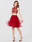 cheap Cocktail Dresses-A-Line Cute Dress Holiday Homecoming Short / Mini Sleeveless High Neck Tulle with Pleats Crystals Beading 2023