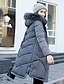 ieftine Geci și jachete cu puf pentru femei-Pentru femei Ieșire Mată Lung Căptușit, Poliester Manșon Lung Bleumarin / Gri / Verde Militar XL / XXL / XXXL