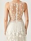 cheap Special Occasion Dresses-Ball Gown See Through Dress Holiday Cocktail Party Sweep / Brush Train Sleeveless Bateau Neck All Over Lace with Lace Pleats Appliques 2023