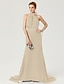 cheap Evening Dresses-Sheath / Column Elegant Dress Holiday Cocktail Party Court Train Sleeveless High Neck Chiffon with Sash / Ribbon Bow(s) Pleats 2024