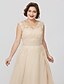 cheap Plus Size Mother of the Bride Dress-A-Line Mother of the Bride Dress Plus Size Elegant V Neck Floor Length Chiffon Sheer Lace Sleeveless No with Sash / Ribbon Appliques 2023 / Formal / Formal