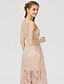 cheap Bridesmaid Dresses-Ball Gown / A-Line Bridesmaid Dress Strap Sleeveless Classic &amp; Timeless Asymmetrical All Over Lace with Pleats / Appliques 2022