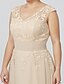 cheap Plus Size Mother of the Bride Dress-A-Line Mother of the Bride Dress Plus Size Elegant V Neck Floor Length Chiffon Sheer Lace Sleeveless No with Sash / Ribbon Appliques 2023 / Formal / Formal