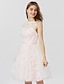 cheap Special Occasion Dresses-Ball Gown Cute Dress Cocktail Party Formal Evening Short / Mini Sleeveless Bateau Neck All Over Lace V Back with Sash / Ribbon Pleats 2023