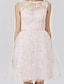 cheap Special Occasion Dresses-Ball Gown Cute Dress Cocktail Party Formal Evening Short / Mini Sleeveless Bateau Neck All Over Lace V Back with Sash / Ribbon Pleats 2023