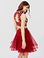 cheap Cocktail Dresses-A-Line Cute Dress Holiday Homecoming Short / Mini Sleeveless High Neck Tulle with Pleats Crystals Beading 2023