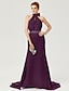 cheap Evening Dresses-Sheath / Column Elegant Dress Holiday Cocktail Party Court Train Sleeveless High Neck Chiffon with Sash / Ribbon Bow(s) Pleats 2024