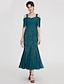 Χαμηλού Κόστους Φορέματα ειδικών περιστάσεων-Τρομπέτα / Γοργόνα Κομψό Φόρεμα Αργίες Κοκτέιλ Πάρτι Κάτω από το γόνατο Κοντομάνικο Λουριά Σιφόν με Πλισέ Χάντρες 2024