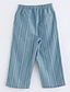 abordables Pantalons et leggings pour filles-Fille Rayé Coton Pantalons Bleu