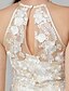 cheap Prom Dresses-Sheath / Column Elegant Floral See Through Prom Formal Evening Dress Illusion Neck Sleeveless Floor Length Sheer Lace with Appliques 2021