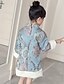 cheap Dresses-Girls&#039; Long Sleeve Floral Patchwork Embroidery 3D Printed Graphic Dresses Vintage Chinoiserie Polyester Dress Fall Winter Daily Going out