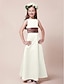 cheap Junior Bridesmaid Dresses-Princess Floor Length Junior Bridesmaid Dress Wedding Party Satin Sleeveless Bateau Neck with Sash / Ribbon 2022 / Fall / Winter / Spring / Summer / Apple