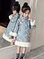 cheap Dresses-Girls&#039; Long Sleeve Floral Patchwork Embroidery 3D Printed Graphic Dresses Vintage Chinoiserie Polyester Dress Fall Winter Daily Going out