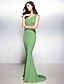 cheap Evening Dresses-Sheath / Column Beautiful Back Dress Formal Evening Sweep / Brush Train Sleeveless V Neck Jersey V Back with Appliques 2022