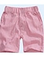 preiswerte Unterteile-Kinder Jungen Damast Shorts Blau