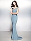 cheap Evening Dresses-Sheath / Column Beautiful Back Dress Formal Evening Sweep / Brush Train Sleeveless V Neck Jersey V Back with Appliques 2022