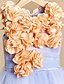 abordables Robes demoiselles d&#039;honneur junior-Robe de Soirée Traîne Brosse Satin / Tulle Sans Manches Bijoux avec Ceinture / Ruban / Fleur