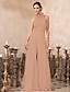 cheap Evening Dresses-Jumpsuits Hot Dress Valentine&#039;s Day Wedding Guest Floor Length Sleeveless High Neck Chiffon Backless with Pleats 2024