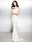 Χαμηλού Κόστους Βραδινά Φορέματα-Ίσια Γραμμή Όμορφη Πλάτη Φόρεμα Επίσημο Βραδινό Ουρά Αμάνικο Λαιμόκοψη V Ζέρσεϊ V Πίσω με Διακοσμητικά Επιράμματα 2022