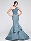 cheap Special Occasion Dresses-Mermaid / Trumpet Dress Formal Evening Chapel Train Sleeveless One Shoulder Satin with Appliques