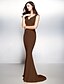 cheap Evening Dresses-Sheath / Column Beautiful Back Dress Formal Evening Sweep / Brush Train Sleeveless V Neck Jersey V Back with Appliques 2022