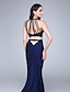 cheap Special Occasion Dresses-Two Piece Mermaid / Trumpet Two Piece Dress Formal Evening Court Train Sleeveless Jewel Neck Jersey with Beading Sequin 2024