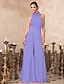 cheap Evening Dresses-Jumpsuits Hot Dress Valentine&#039;s Day Wedding Guest Floor Length Sleeveless High Neck Chiffon Backless with Pleats 2024