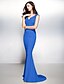 Χαμηλού Κόστους Βραδινά Φορέματα-Ίσια Γραμμή Όμορφη Πλάτη Φόρεμα Επίσημο Βραδινό Ουρά Αμάνικο Λαιμόκοψη V Ζέρσεϊ V Πίσω με Διακοσμητικά Επιράμματα 2022