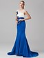 cheap Prom Dresses-Mermaid / Trumpet See Through Prom Formal Evening Dress Illusion Neck Short Sleeve Sweep / Brush Train Satin Tulle with Flower Color Block 2021