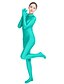cheap Zentai Suits-Zentai Suits Catsuit Skin Suit Adults&#039; Lycra® Cosplay Costumes Fashion Men&#039;s Women&#039;s Solid Colored Fashion Halloween Masquerade