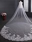 זול הינומות חתונה-שכבה אחת סגנון וינטאג&#039; הינומות חתונה צעיפי קתדרלה עם Paillette טול / קלאסי