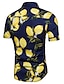 cheap Men&#039;s Printed Shirts-Men&#039;s Shirt Floral Spread Collar Beach Print Short Sleeve Tops Boho White Red Navy Blue / Summer / Summer
