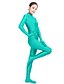 cheap Zentai Suits-Zentai Suits Catsuit Skin Suit Adults&#039; Lycra® Cosplay Costumes Fashion Men&#039;s Women&#039;s Solid Colored Fashion Halloween Masquerade