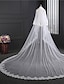 cheap Wedding Veils-Two-tier Double Layered Wedding Veil Cathedral Veils with Embroidery Tulle / Classic