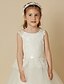 Χαμηλού Κόστους Λουλουδάτα φορέματα για κορίτσια-Πριγκίπισσα Μακρύ Φόρεμα για Κοριτσάκι Λουλουδιών Πρώτη Κοινωνία Χαριτωμένο φόρεμα χορού Δαντέλα με Δαντέλα Κατάλληλο 3-16 ετών