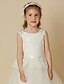 cheap Flower Girl Dresses-Princess Floor Length Flower Girl Dress First Communion Cute Prom Dress Lace with Lace Fit 3-16 Years