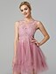 cheap Cocktail Dresses-A-Line Sexy Homecoming Cocktail Party Valentine&#039;s Day Dress Illusion Neck Sleeveless Short / Mini Lace Over Tulle with Appliques 2021
