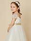 cheap Flower Girl Dresses-A-Line Tea Length Flower Girl Dress First Communion Cute Prom Dress Lace with Sash / Ribbon Fit 3-16 Years