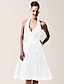 cheap The Wedding Store-A-Line Bridesmaid Dress Halter Neck / V Neck Sleeveless Sexy Knee Length Chiffon with Sash / Ribbon / Bow(s) 2022