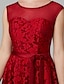 preiswerte Abendkleider-A-Linie Elegant Kleid Cocktailparty Tee-Länge Ärmellos Illusionsausschnitt Spitze mit Blumenmuster überall mit Plissee 2023