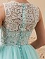 Χαμηλού Κόστους Βραδινά Φορέματα-Βραδινή τουαλέτα Φανταχτερό Επίσημο Βραδινό Φόρεμα Λαιμός ψευδαίσθησης Αμάνικο Ουρά Τούλι με Δαντέλα Πλισέ Χάντρες 2021