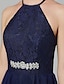 cheap Prom Dresses-A-Line Minimalist Dress Cocktail Party Tea Length Sleeveless Halter Neck Tulle with Lace Insert Appliques 2022 / Prom