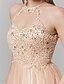 cheap Prom Dresses-A-Line Elegant Sparkle &amp; Shine Prom Formal Evening Dress Jewel Neck Sleeveless Ankle Length Chiffon Metallic Lace with Pleats Appliques 2021