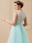 Χαμηλού Κόστους Βραδινά Φορέματα-Βραδινή τουαλέτα Φανταχτερό Επίσημο Βραδινό Φόρεμα Λαιμός ψευδαίσθησης Αμάνικο Ουρά Τούλι με Δαντέλα Πλισέ Χάντρες 2021