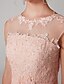 cheap Evening Dresses-A-Line Elegant Prom Formal Evening Dress Illusion Neck Sleeveless Floor Length Chiffon Lace Bodice with Appliques 2021