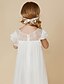 preiswerte Kleider für die Blumenmädchen-Eng anliegend Knöchellänge Blumenmädchenkleid Süßes Ballkleid Chiffon mit Plissee Fit 3-16 Jahre