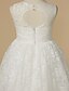 cheap Flower Girl Dresses-Princess Floor Length Flower Girl Dress First Communion Cute Prom Dress Lace with Lace Fit 3-16 Years